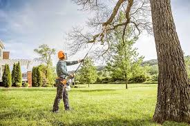 Westmont, NJ Tree Care Company